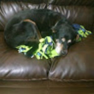 Meet your Posher, Kia